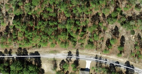 LAND - Citrus Springs, FL