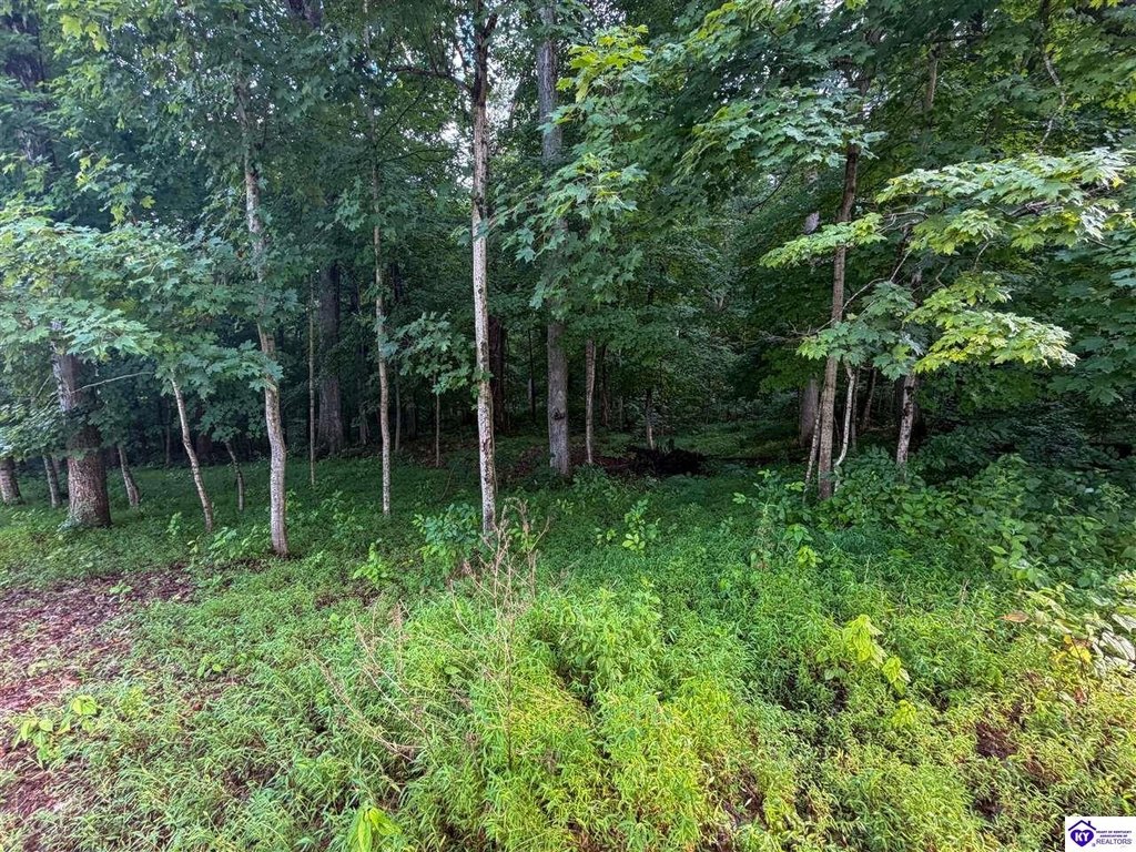 Picture 8