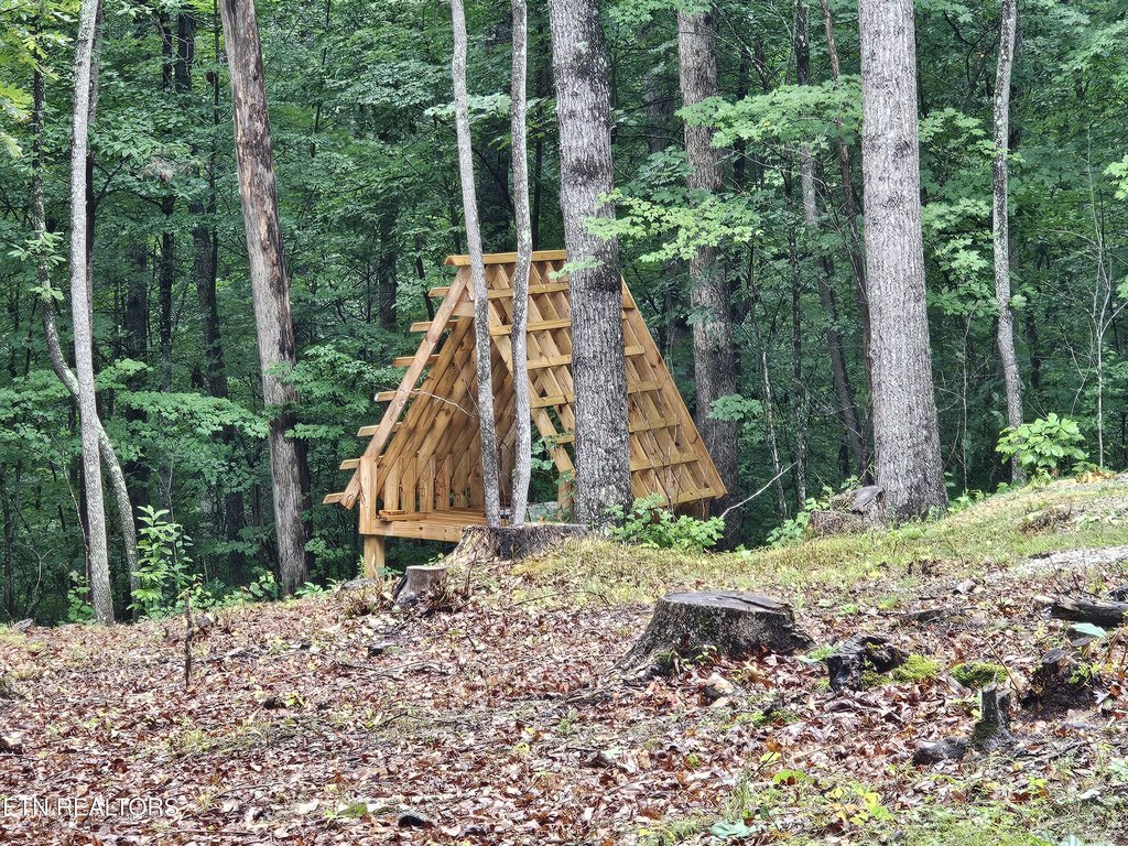 Picture 4