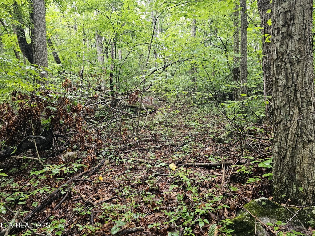 Picture 18