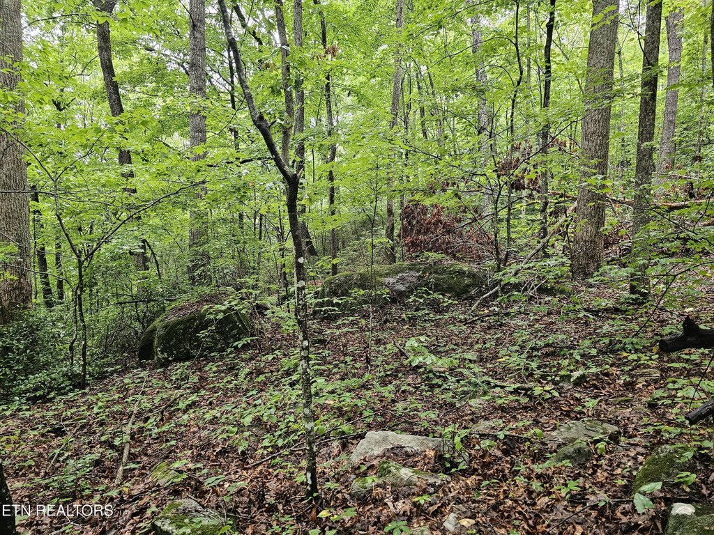 Picture 17