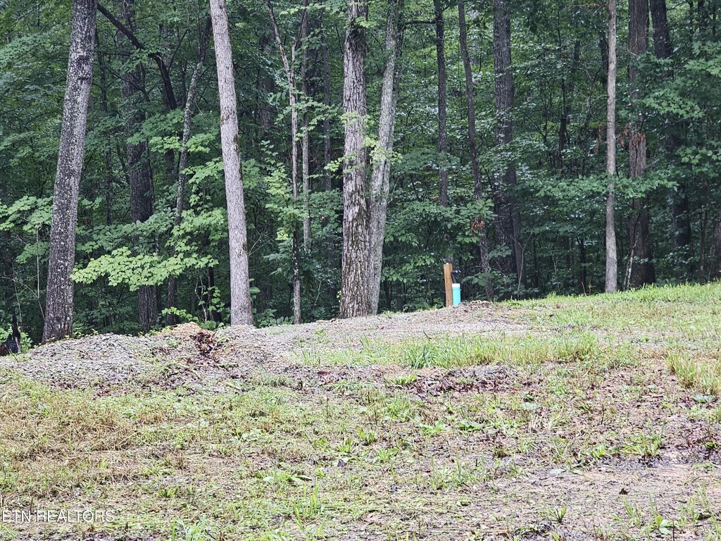 Picture 8