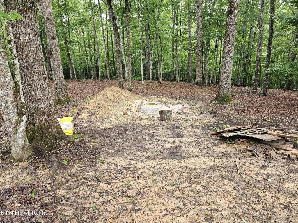 Picture 5