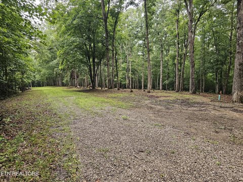 Lots & Acreage, Crossville, TN