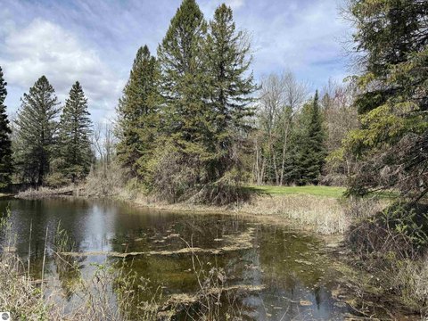 Wooded Waterfront Building Lot