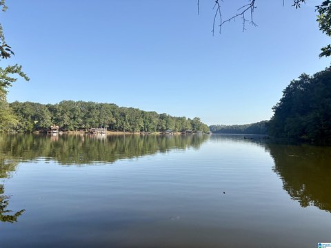 LAND/LOTS, WEDOWEE, AL