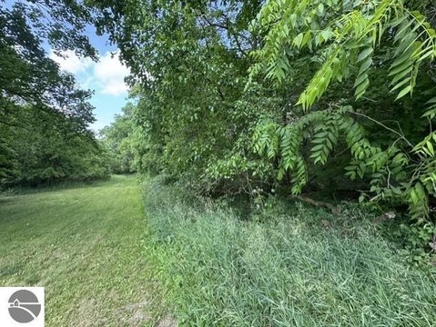 LAND - Stanton, MI