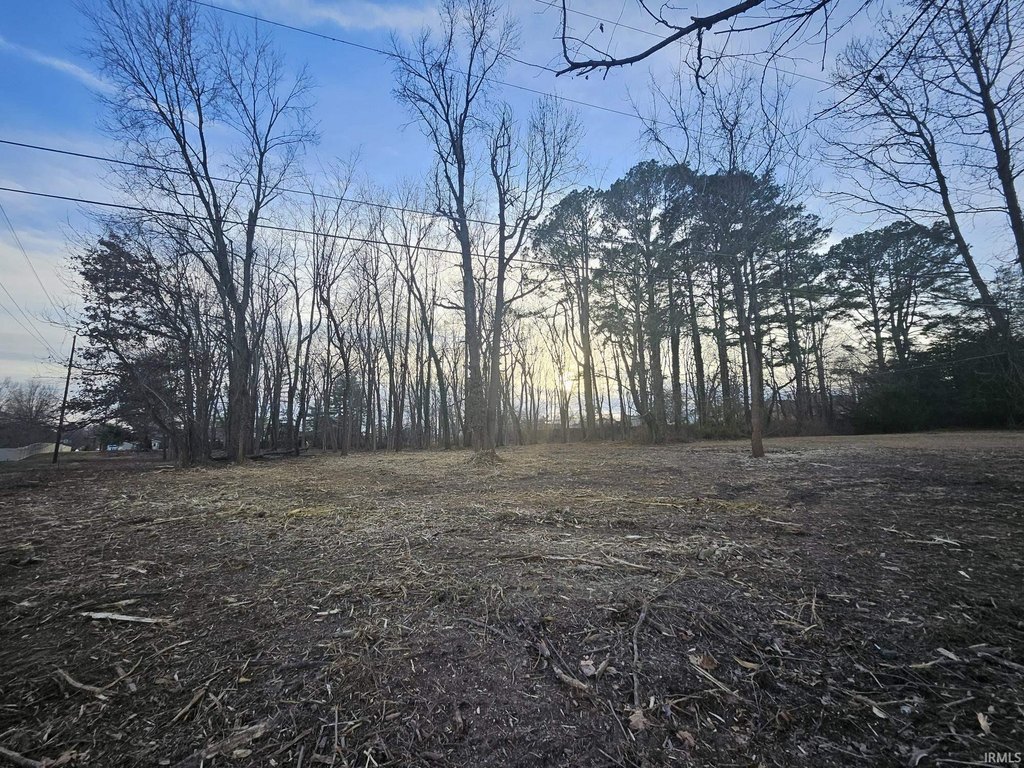 Picture 6