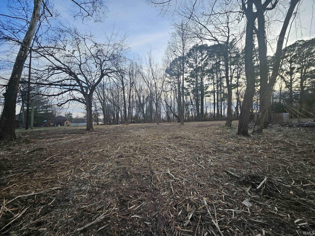 Picture 3