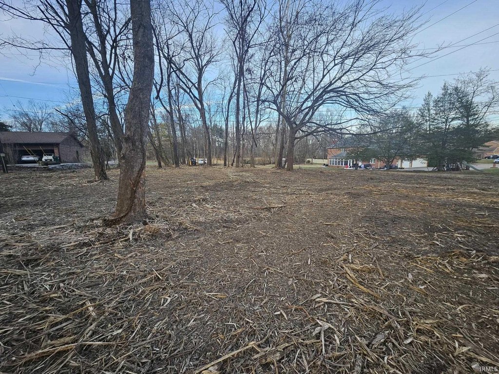 Picture 11