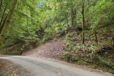 Enchanting Redwood Lot in Soquel