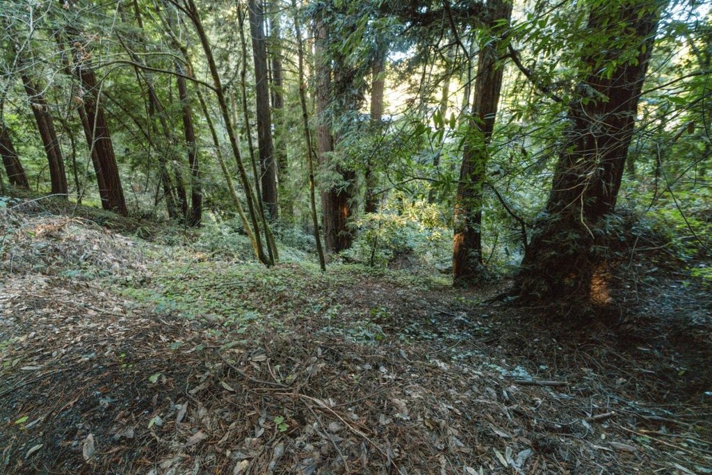 Picture 17
