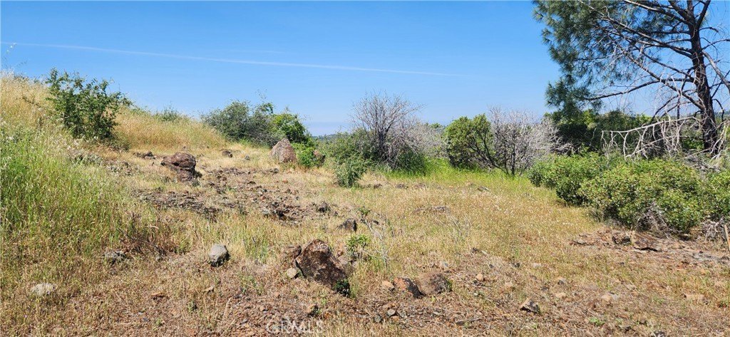 Picture 21