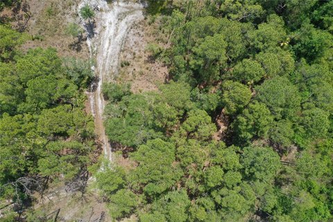 Spacious Land Parcel Near Cedar Key