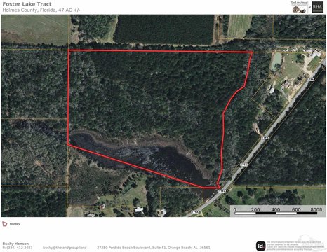 Mature Timber Hunting Land