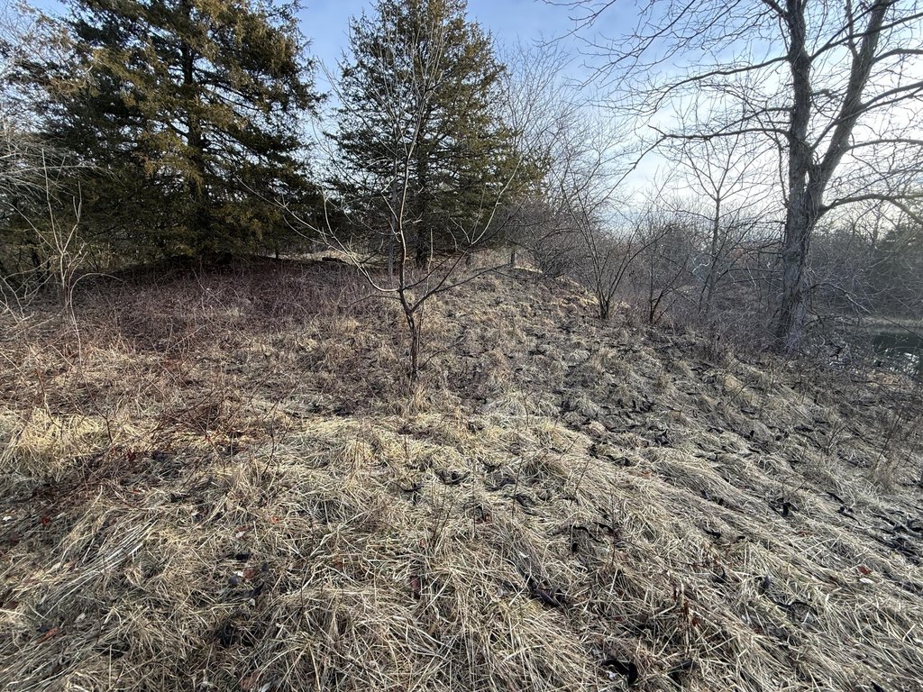 Picture 46
