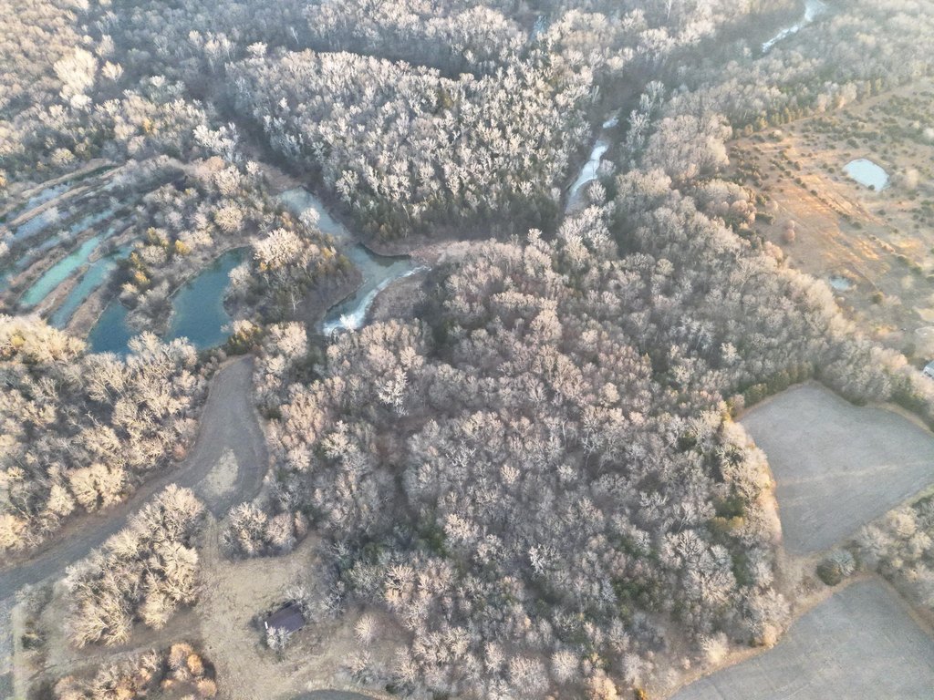 Picture 4