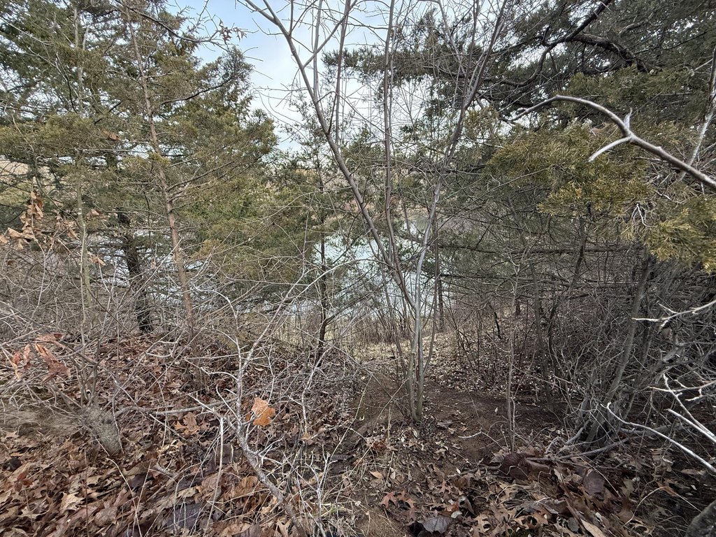 Picture 41
