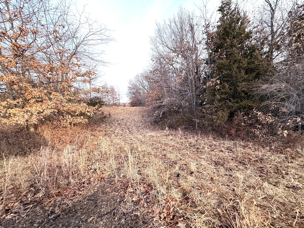 Picture 28