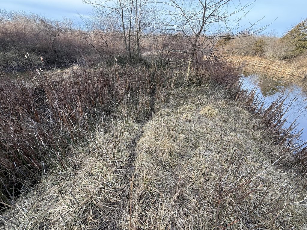 Picture 49