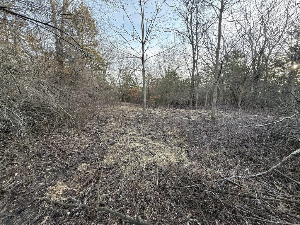 Picture 47