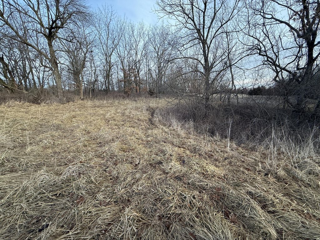 Picture 36