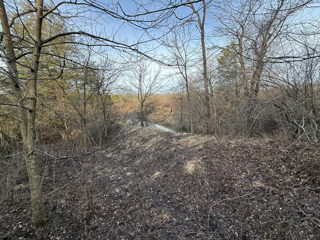 Picture 48