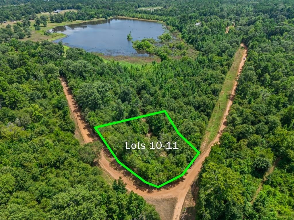 Wooded Lots in Hawkins, TX