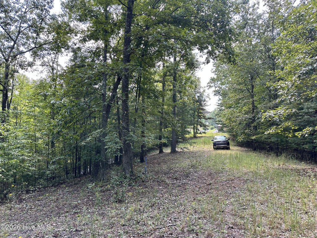 Picture 18
