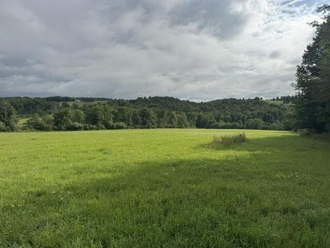 Land, Ulster, PA