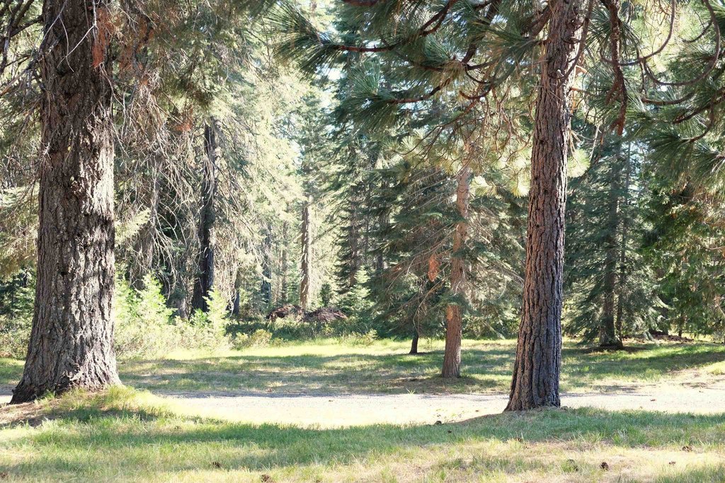 Picture 40