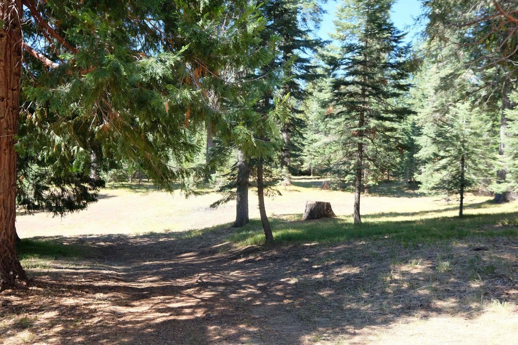 Picture 38