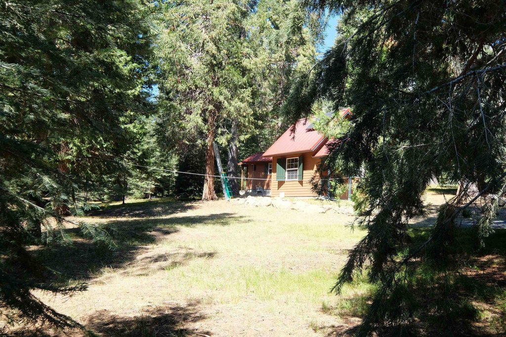 Picture 30