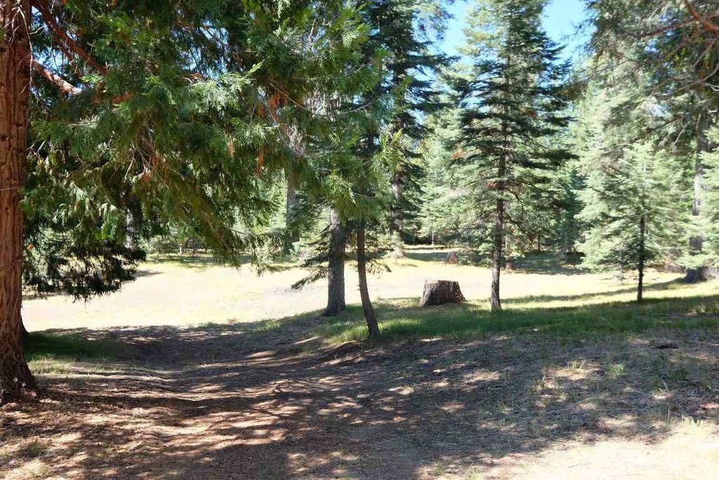 Picture 38
