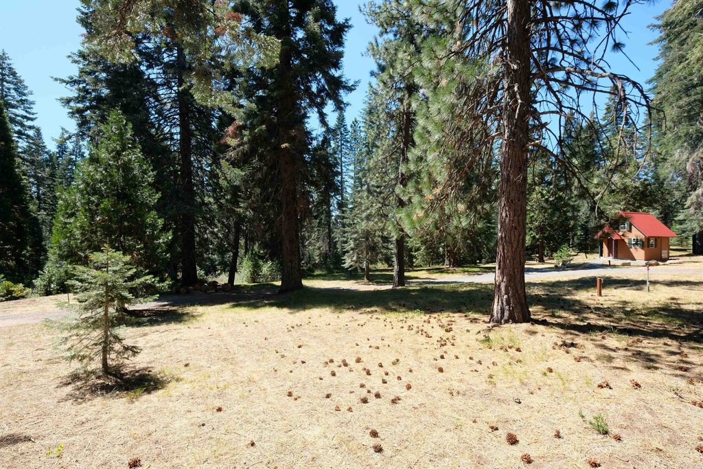 Picture 36