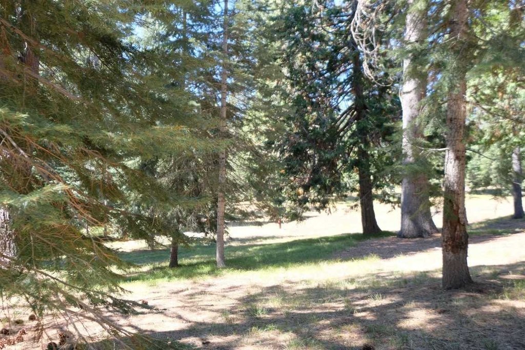 Picture 41