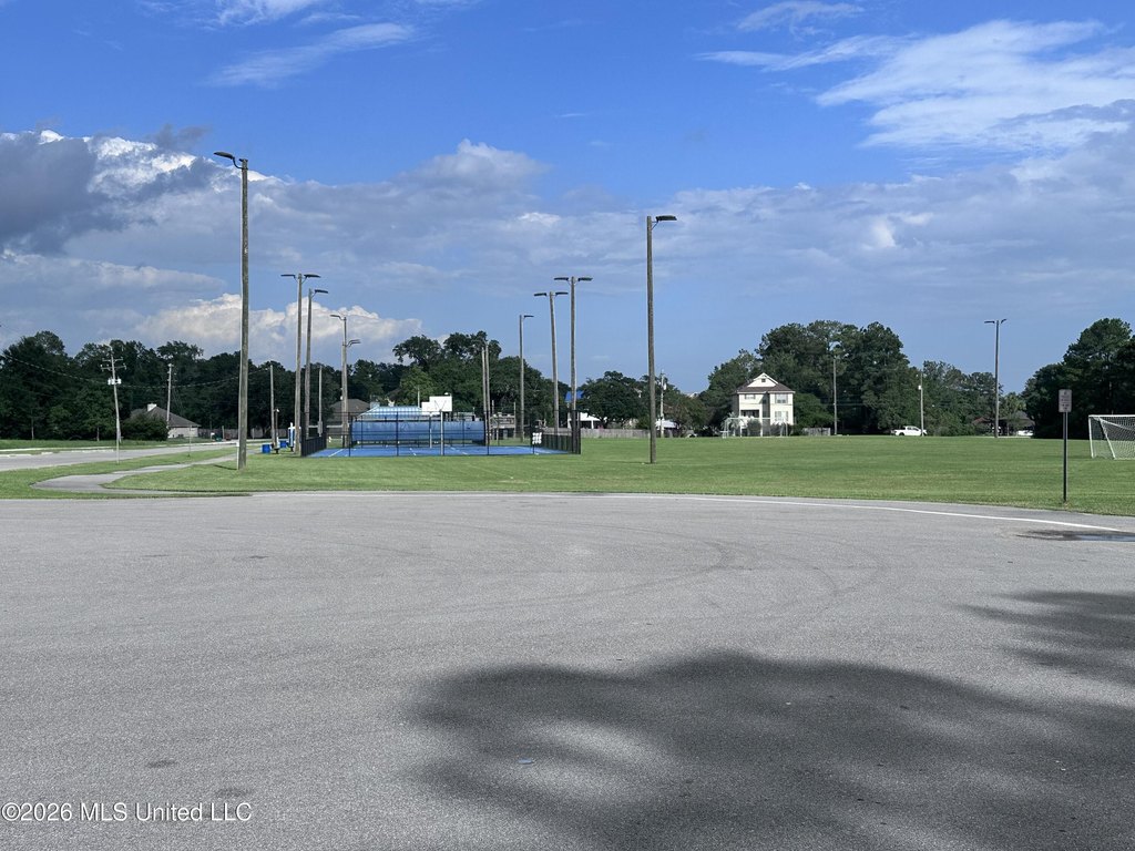 Picture 7