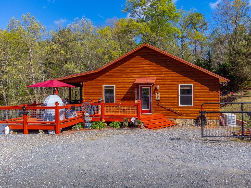 Picture 5