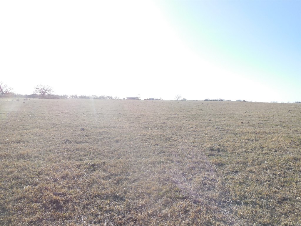 Picture 28
