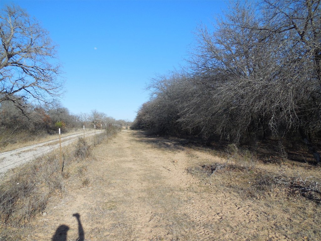 Picture 21