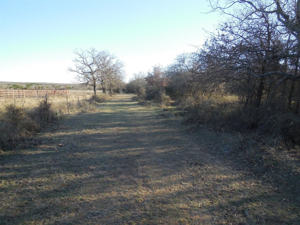 Picture 25