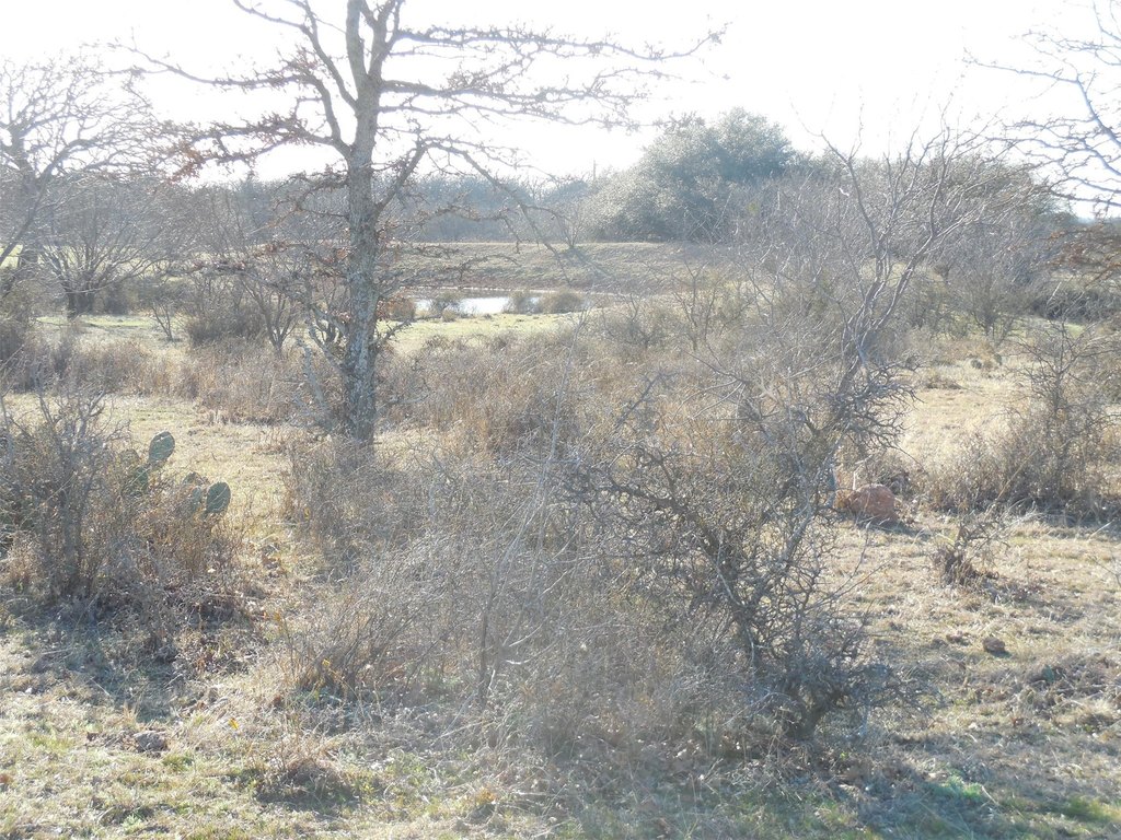 Picture 18