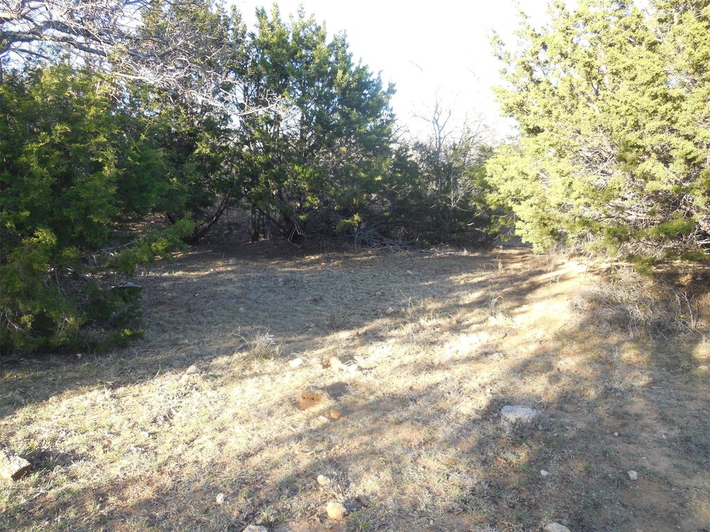Picture 27