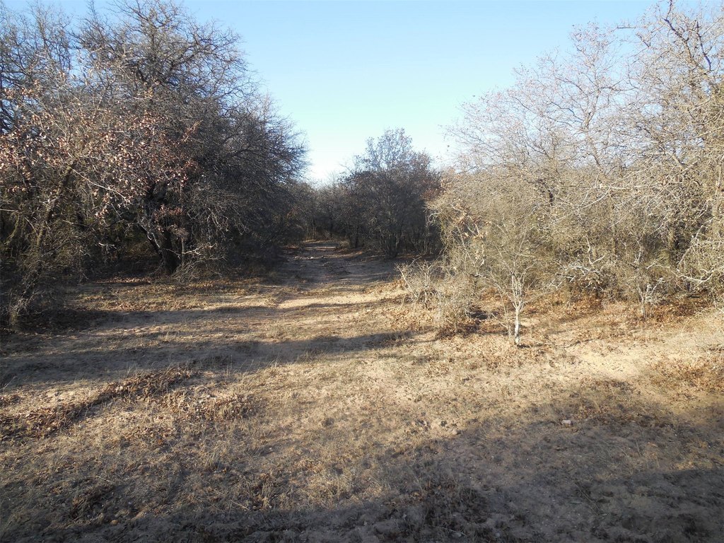 Picture 30
