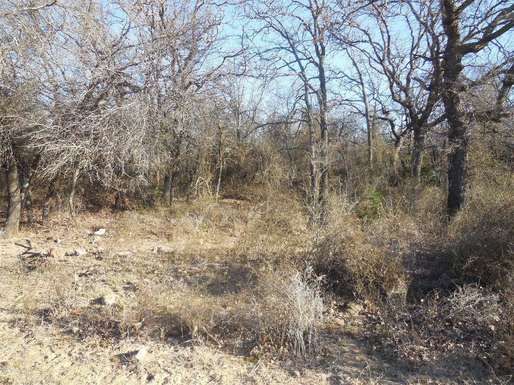 Picture 19
