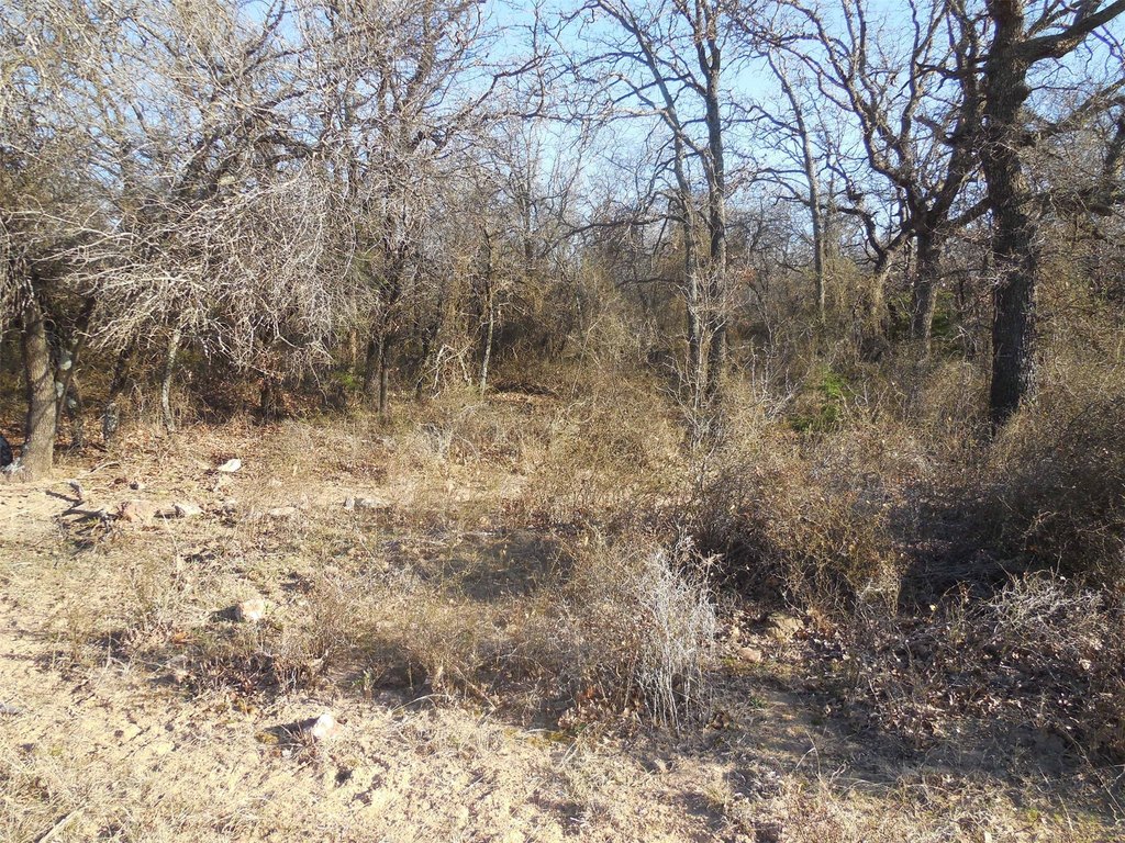 Picture 20