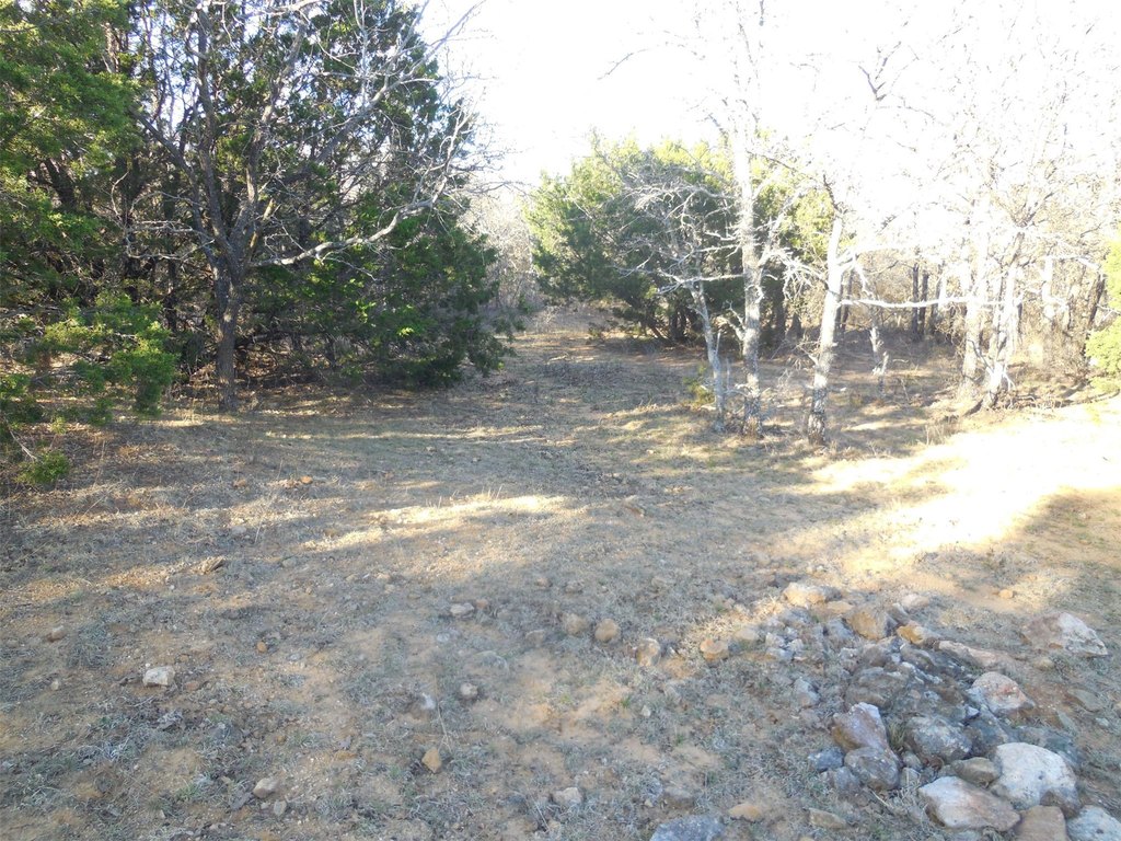 Picture 26