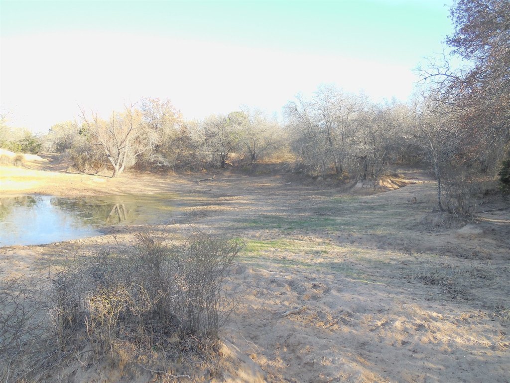 Picture 23