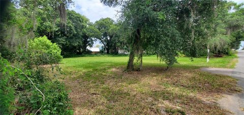 Land, MOUNT DORA, FL