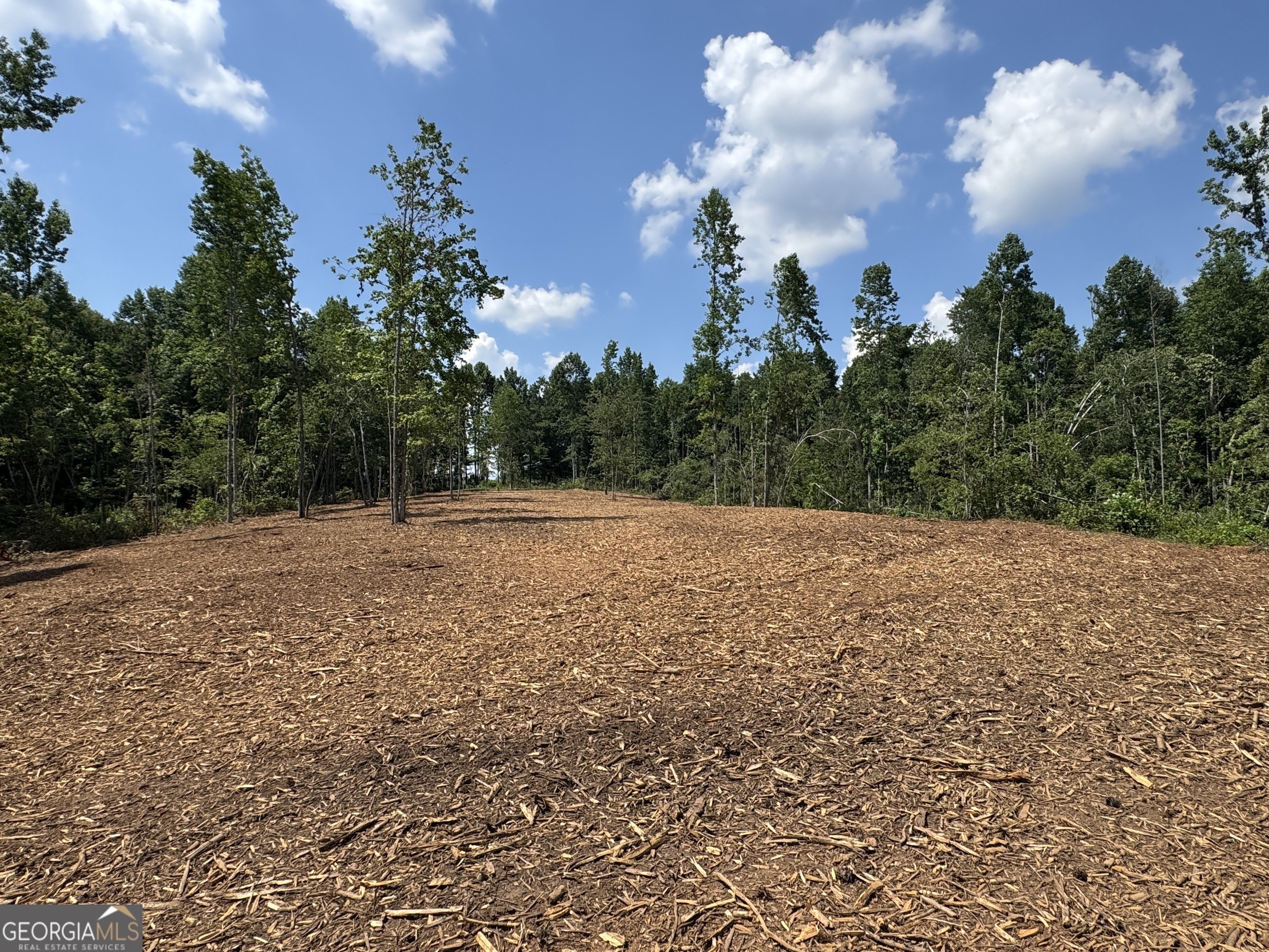 Roopville Land with Creek Access